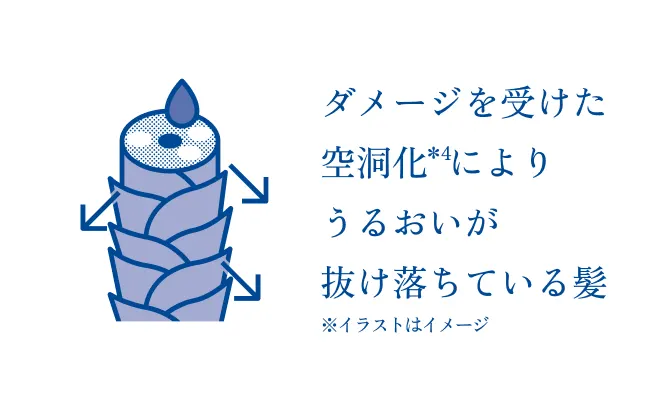 ダメージを受けた空洞化によりうるおいが抜け落ちている髪のイメージ図
