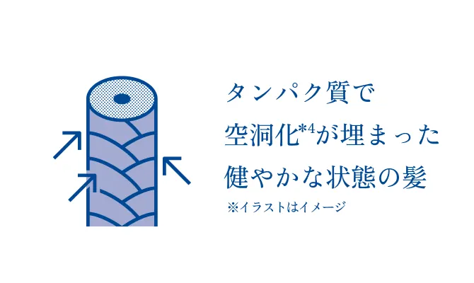 タンパク質で空洞化が埋まった健やかな状態の髪のイメージ図