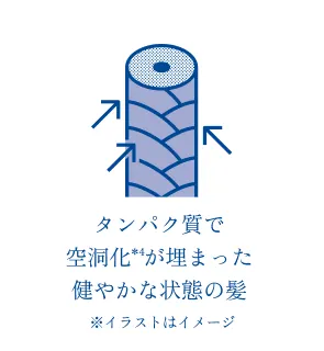 タンパク質で空洞化が埋まった健やかな状態の髪のイメージ図
